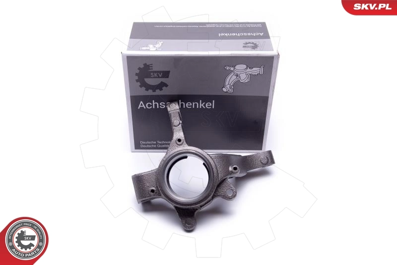 Steering Knuckle, wheel suspension
